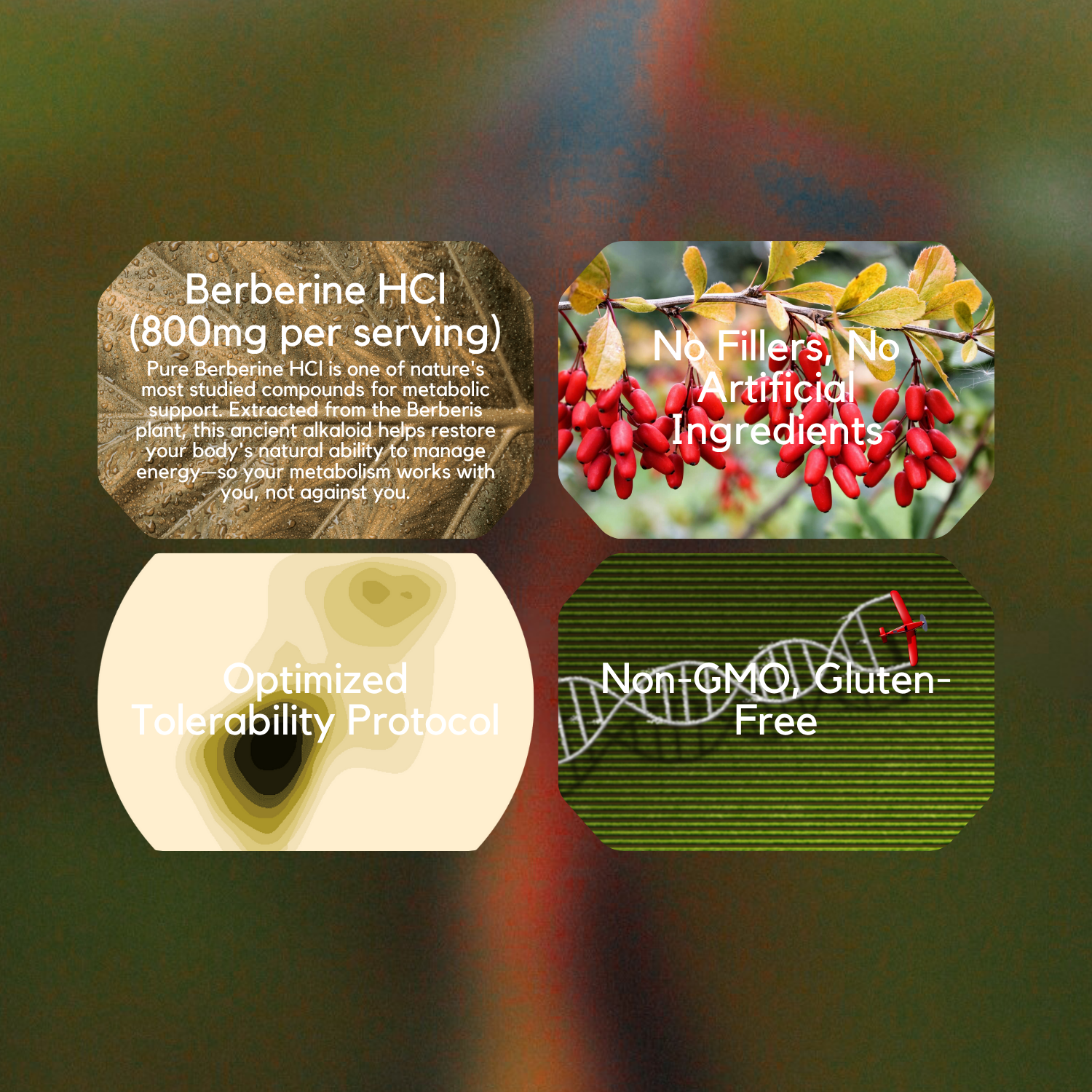 Berberine Hcl Optimized Tolerability®